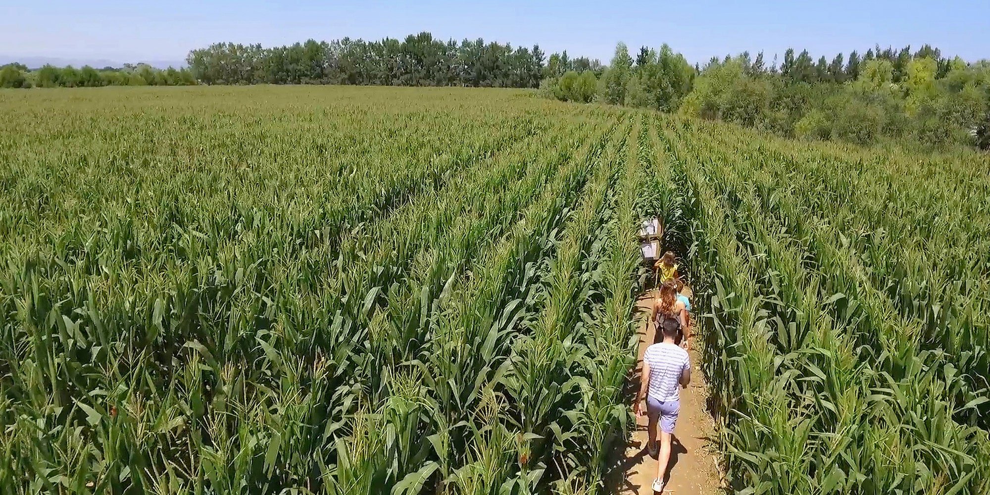 Le labyrinthe végétal à Sainte-Marie-le-Mer village
