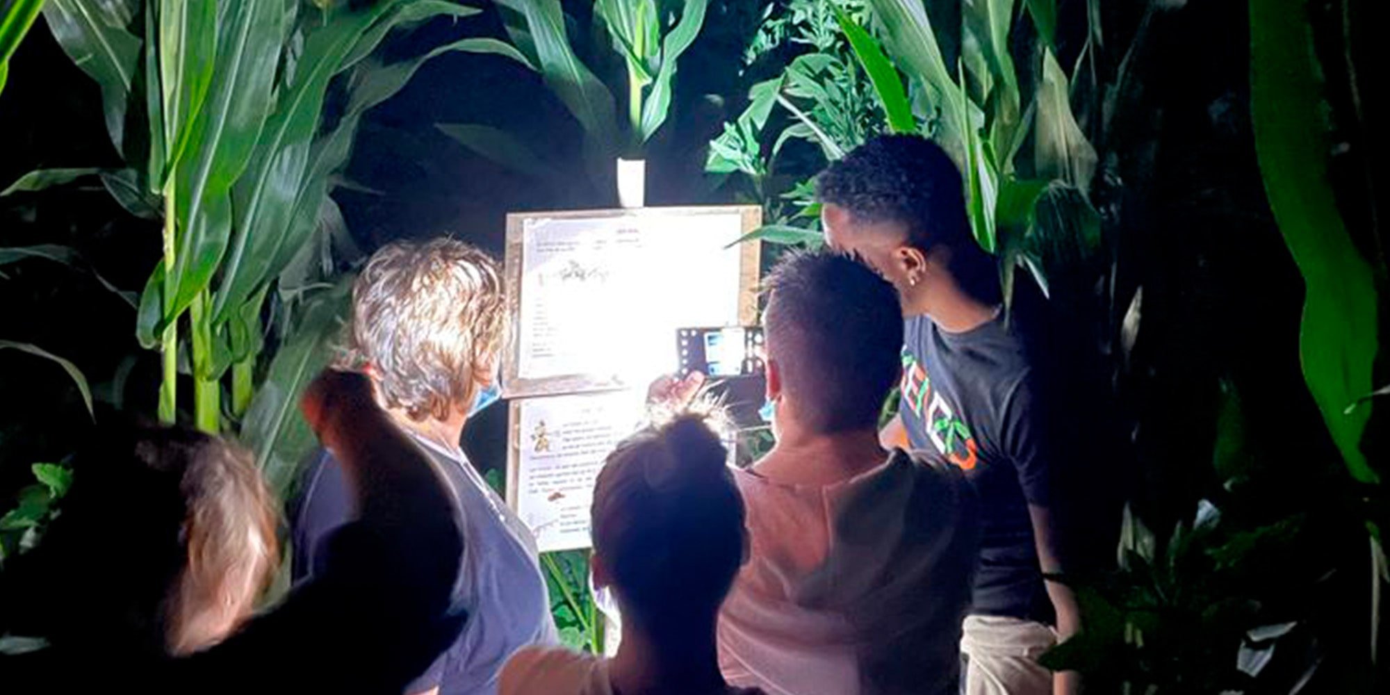 Les activitées nocturnes en famille à Sainte-Marie-la-Mer