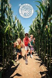 Le labyrinthe végétal du jardin d'Ariane à Sainte Marie