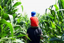Le labyrinthe géant du jardin d'Ariane à Sainte Marie