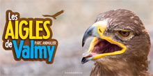 Aigles de Valmy