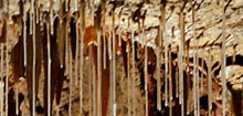 Grotte de Fontrabiouse