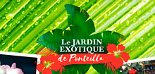 Jardin exotique