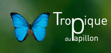 Tropiques du papillon