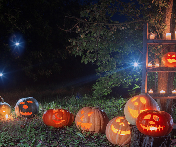 Fêtez halloween en famille à Sainte-Marie-la-Mer au Jardin d'Ariane
