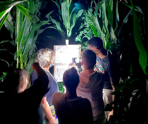 Jeux nocturnes en famille au Jardin d'Ariane à Perpignan